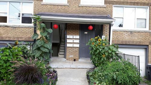 flowers-2017-34