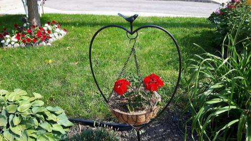 flowers-2017-38